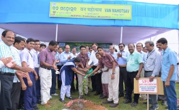 NTPC Talcher-Kaniha observes Van Mahotsav