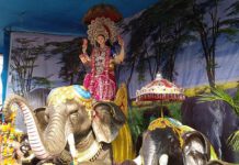 Stop Use of animals in Procession-Rallies, demands PFA