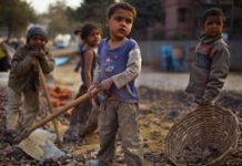 Over 4 lakh children in the CCIs remain at high risks, says NCAT