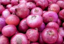 Odisha Supply Minister helpless as Onion brings tear for Consumers