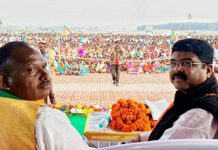 Dharmendra campaigns for 2nd in Jharkhand, seeks Odia speaking votes for BJP