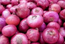 Union Cabinet Secretary reviews the issue of Onion Prices in the Country
