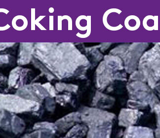 Bharat Coking Coal Ltd organized an interaction with NRS Linkage and CIL SWMA e-Auction consumers