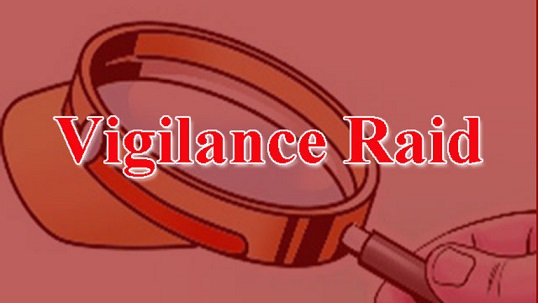 vigilance-raid
