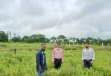 SOA Researchers Working on Organic Cultivation and Value Addition of Tulsi