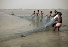 Ministry of Fisheries, Animal Husbandry and Dairying (MoFAH&D), Government of India, is implementing a range of schemes and programmes for the holistic development of the fisheries and aquaculture sector across the country, including Balasore District of Odisha
