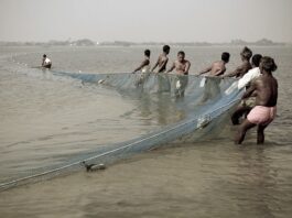 Ministry of Fisheries, Animal Husbandry and Dairying (MoFAH&D), Government of India, is implementing a range of schemes and programmes for the holistic development of the fisheries and aquaculture sector across the country, including Balasore District of Odisha
