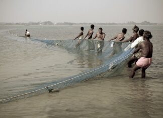 Ministry of Fisheries, Animal Husbandry and Dairying (MoFAH&D), Government of India, is implementing a range of schemes and programmes for the holistic development of the fisheries and aquaculture sector across the country, including Balasore District of Odisha