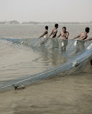 Ministry of Fisheries, Animal Husbandry and Dairying (MoFAH&D), Government of India, is implementing a range of schemes and programmes for the holistic development of the fisheries and aquaculture sector across the country, including Balasore District of Odisha
