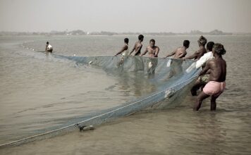Ministry of Fisheries, Animal Husbandry and Dairying (MoFAH&D), Government of India, is implementing a range of schemes and programmes for the holistic development of the fisheries and aquaculture sector across the country, including Balasore District of Odisha