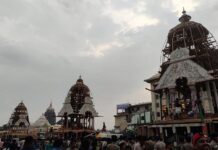 ରଥ ନିର୍ମାଣ କାର୍ଯ୍ୟ ୫୪ ତମ ଦିବସ, ତିନି ରଥରେ ଲାଗିଥିବା କଳଶ ଓ ଓଲଟ ଶୁଆ କୁ ସୁଦୃଢ଼ ରଖିବା ପାଇଁ କଳଶ ବାଗିଆ କଣ୍ଟା ଏବଂ ସାଢ଼େ ଚାରି ଫୁଟର ତିନୋଟି ଲେଖାଁଏ ‘ନାରାଜ’ କଣ୍ଟା ବାଡେଇ ଓଲଟ ଶୁଆ ଫିଟିଙ୍ଗ କରାଯାଇଛି