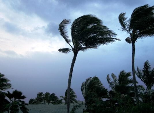 Ornab is very likely to move northwestwards and cross Andhra Pradesh and Yanam coasts between Bapatla and Visakhapatnam, close to Yanam as a very severe cyclonic storm with the maximum sustained windspeed of 115-125 kmph gusting to 140 kmph by forenoon of 28th October