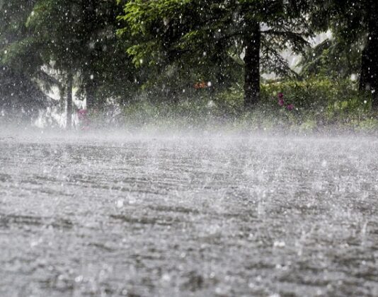 Extremely Heavy Rain Alert Issued for Odisha, Well-Marked Low-Pressure Area Over Bay of Bengal to Bring Heavy to Extremely Heavy Rainfall in Odisha and Eastern India; Subdued Activity in South Peninsula, IMD Issues Orange and Red Warnings for Heavy Rainfall in Odisha and Central-East India; Advises Fishermen and Farmers to Follow Safety Protocol
