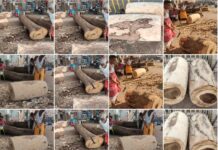 ରଥଖଳା:ରଥ ନିର୍ମାଣ କାର୍ଯ୍ୟ ଦ୍ୱିତୀୟ ଦିବସ-ତିନିରଥ ମହାରଣା ସେବକ ମାନେ ପ୍ରତି ରଥର ଦୁଇଟି ଲେଖାଏଁ ତୁମ୍ବ ର ଗୋଲେଇ କାର୍ଯ୍ୟ ସମ୍ପୂର୍ଣ୍ଣ କରି ଆଉ ଦୁଇଟି ଲେଖାଏଁ ତୁମ୍ୱ ର ଗୋଲେଇ କାର୍ଯ୍ୟ ଶେଷ ପର୍ଯ୍ୟାୟରେ ପହଁଚାଇଛନ୍ତି