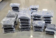 DRI seizes 72 kg of hydroponic weed worth around Rs. 72 crore