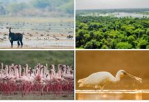 2 New Wetlands to India’s Ramsar List, ahead of World Wetlands Day 2026 , PM Modi welcomes