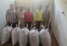 On a tip off STF Team intercepted one Maruti Omni Vehicle No- OD-03-B-5359 with two accused persons in it and the vehicle being loaded with 125.5 Kgs of Contraband ganja in 05 jari sacks at Daspur under Chandaka PS limit