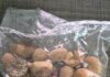 Directorate of Revenue Intelligence (DRI)’s Guwahati Zonal Unit has seized a large quantity of around 60,000 kg smuggled foreign-origin areca nuts