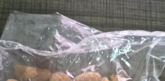 Directorate of Revenue Intelligence (DRI)’s Guwahati Zonal Unit has seized a large quantity of around 60,000 kg smuggled foreign-origin areca nuts