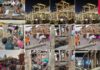 Rathakhala: Chariot construction work Day 50-under the supervision of the Chief Maharana, with the help of the Assistant Maharana and Bhoi Sevak, the construction of the middle ground or second ground frame of the three chariots has been completed