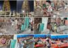 Rathakhala: Chariot construction work Day-63-painters have continued the painting work on the idols of the gods and goddesses on the sides of the chariot, the swans on the sides of the chariot, the horses on the backs of the horses, and the external painting work on the chariot