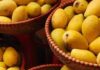 APEDA Facilitates First Export of Fresh Mangoes from Jharkhand to United Kingdom, 1.5 Metric Tonnes of Amrapali Mangoes from Women-Led FPC in Jharkhand Exported to UK