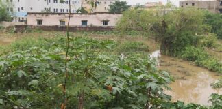Protecting Bhubaneswar’s Main Drains: A Collective Responsibility for Urban Flood Resilience, Safeguarding the City’s Natural Stormwater Corridors