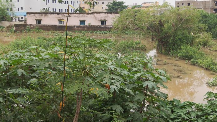 Protecting Bhubaneswar's Main Drains