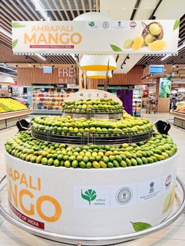 mango