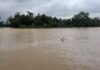 The water level of Hirakud Dam is rising, Water level of Baitarani River rises again