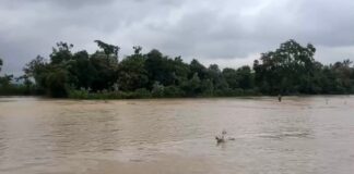 The water level of Hirakud Dam is rising, Water level of Baitarani River rises again