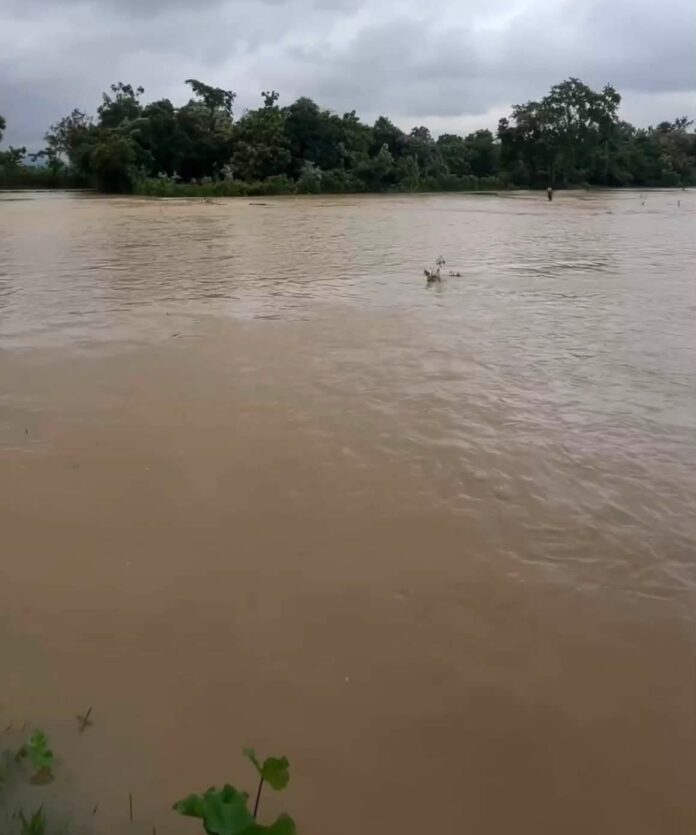 water level of Hirakud Dam