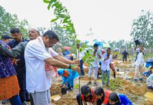 Sambalpur MP Dharmendra Pradhan Joins ‘Ek Ped Maa Ke Naam’ Plantation Drive in Redhakhol