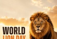 Asiatic Lion population rises from 523 in 2015 to 891 in 2025; Reflects dedication of Forest Officials, Conservationists and Local Communities: Shri Bhupender Yadav,
