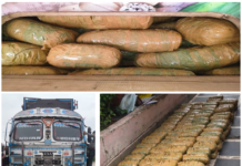 Directorate of Revenue Intelligence seizes around 740 kg cannabis and charas in operations across country as it intensifies crackdown on illegal cannabis trafficking; 13 persons arrested