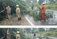Massive restoration and relief operations by Odisha Fire Service in the wake of Cyclone Arnab